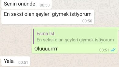 Takipçimizin 20'lik Eski Sevgilisi (Bol Videolu) kapak görseli