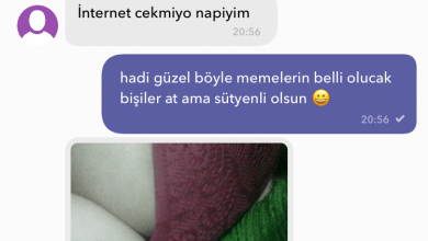 C2 Pelin (SS’li) kapak görseli