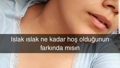 Üniversiteli Sibel – Efsane kapak görseli